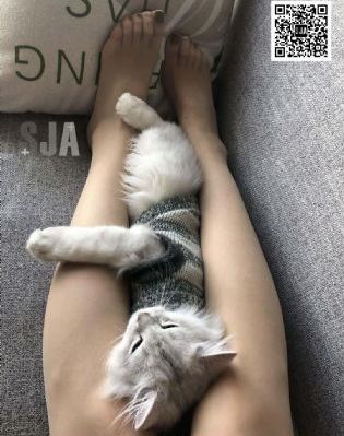 火影忍者720集全集免费观看