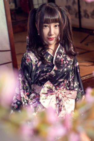三妻四妾国语版第三部电视剧简介