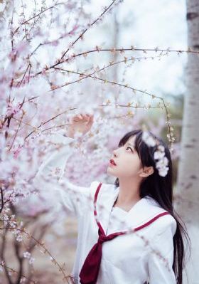寂寞护士电影